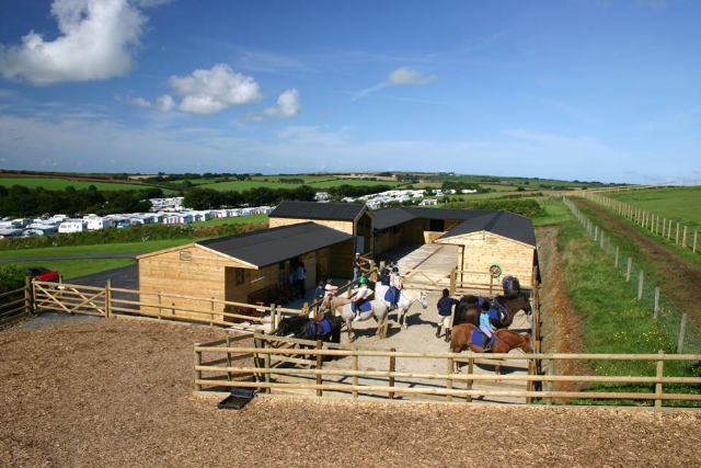 Stowford Farm Meadows