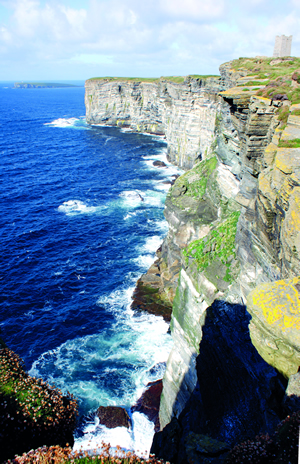 Cliffs of Marwick Head