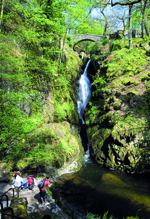 Aira Force