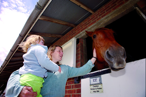 he won’t bite, surely? Millie makes friends with a gentle giant