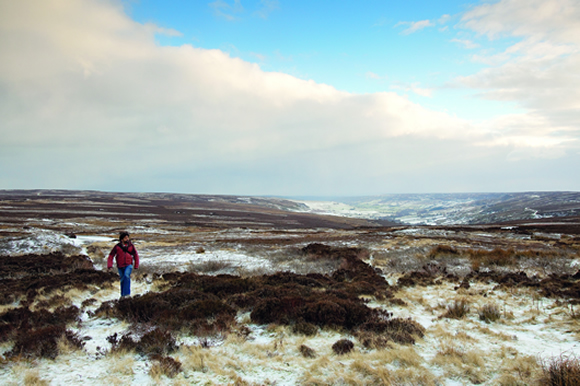 North Moors landscape