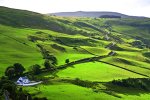 The winding road to Torr Head is trying with a van