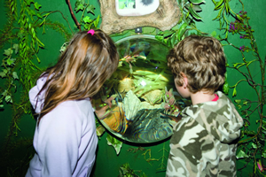 Rosie and Rory get a close look at Sea Life